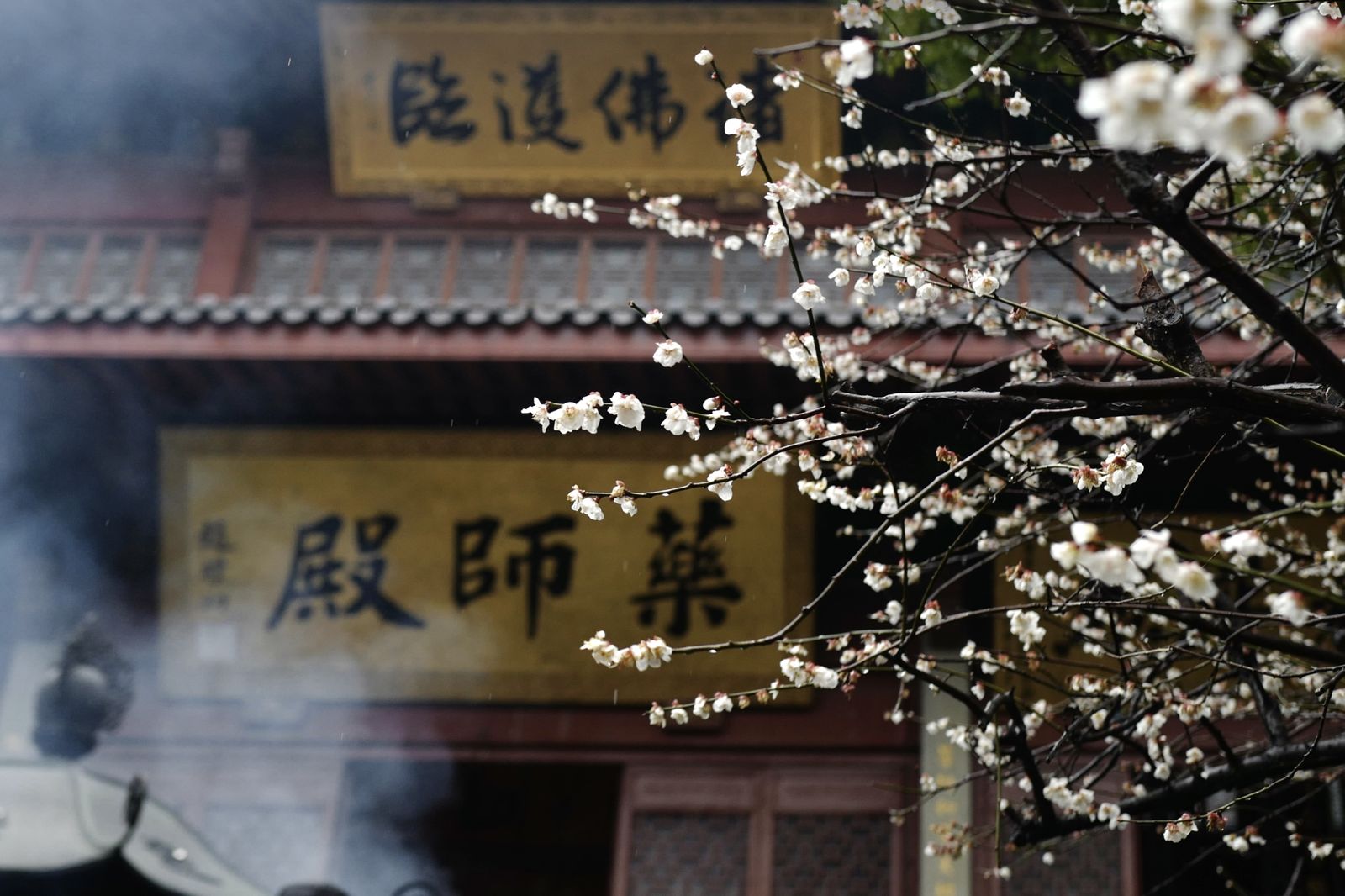 2024 · Winter at Hangzhou