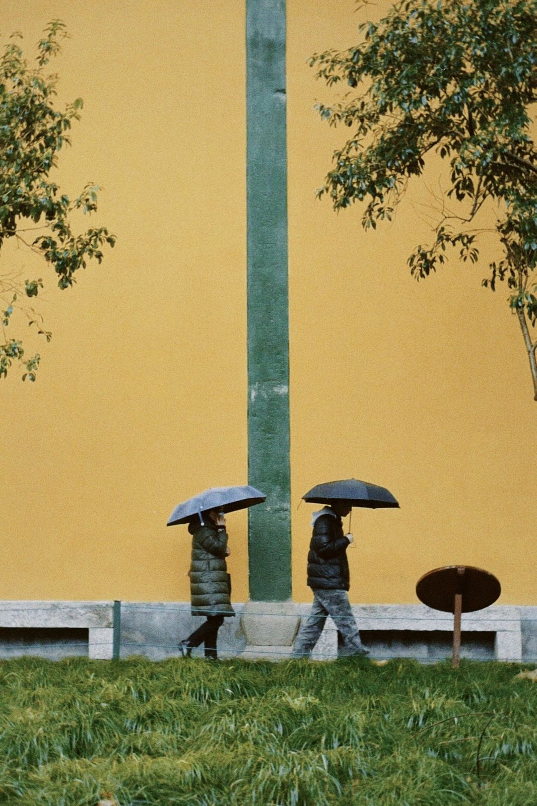 2024 · Winter at Hangzhou