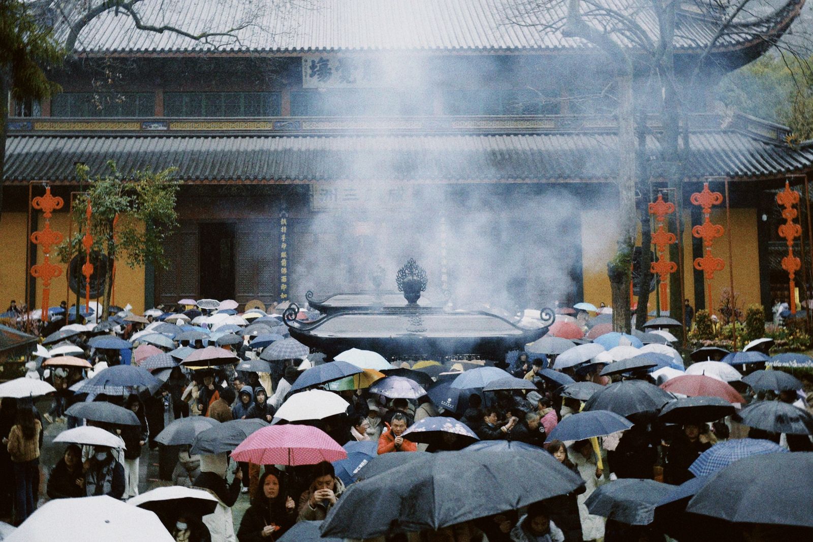 2024 · Winter at Hangzhou