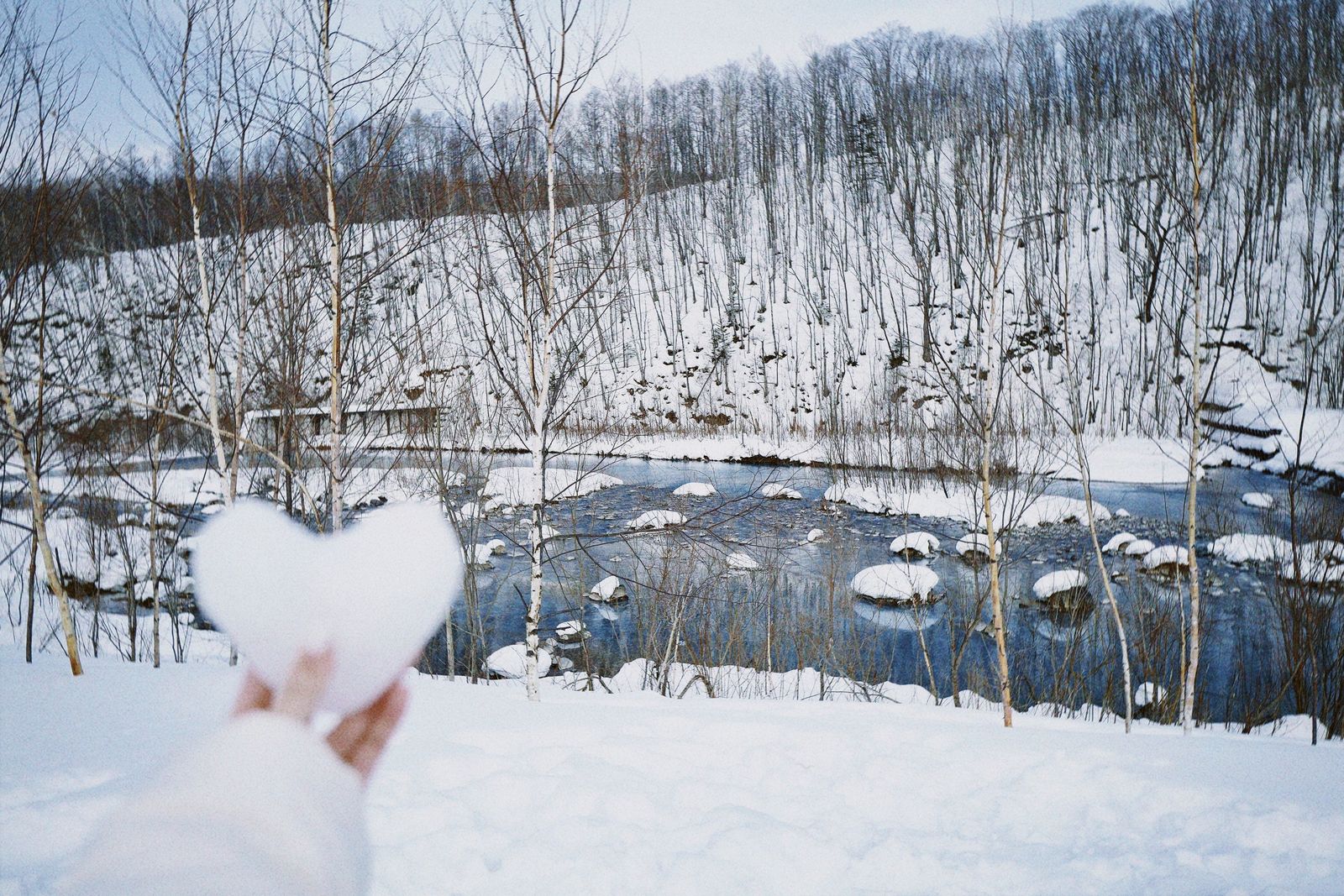 2023 · Winter at Hokkaido