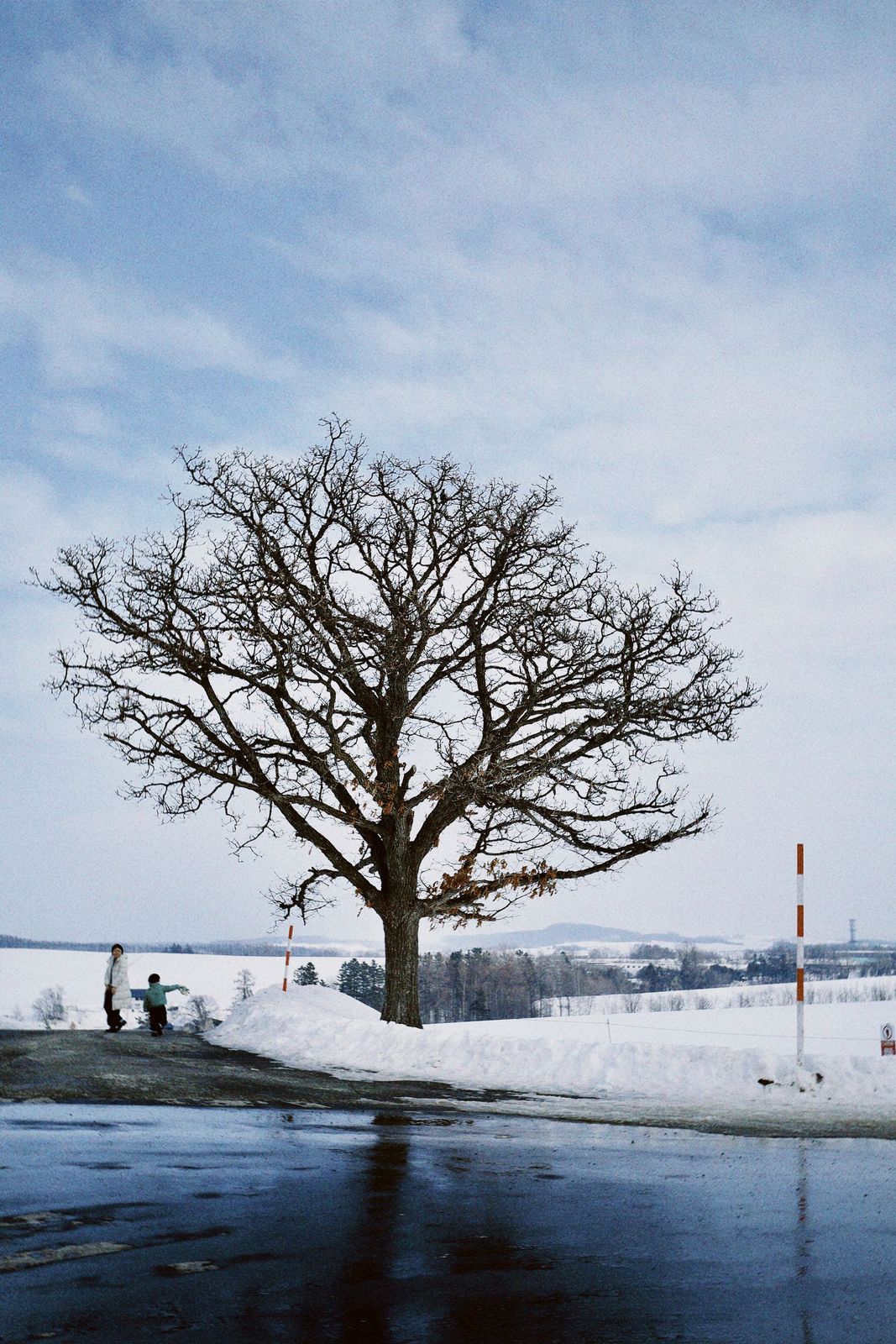 2023 · Winter at Hokkaido