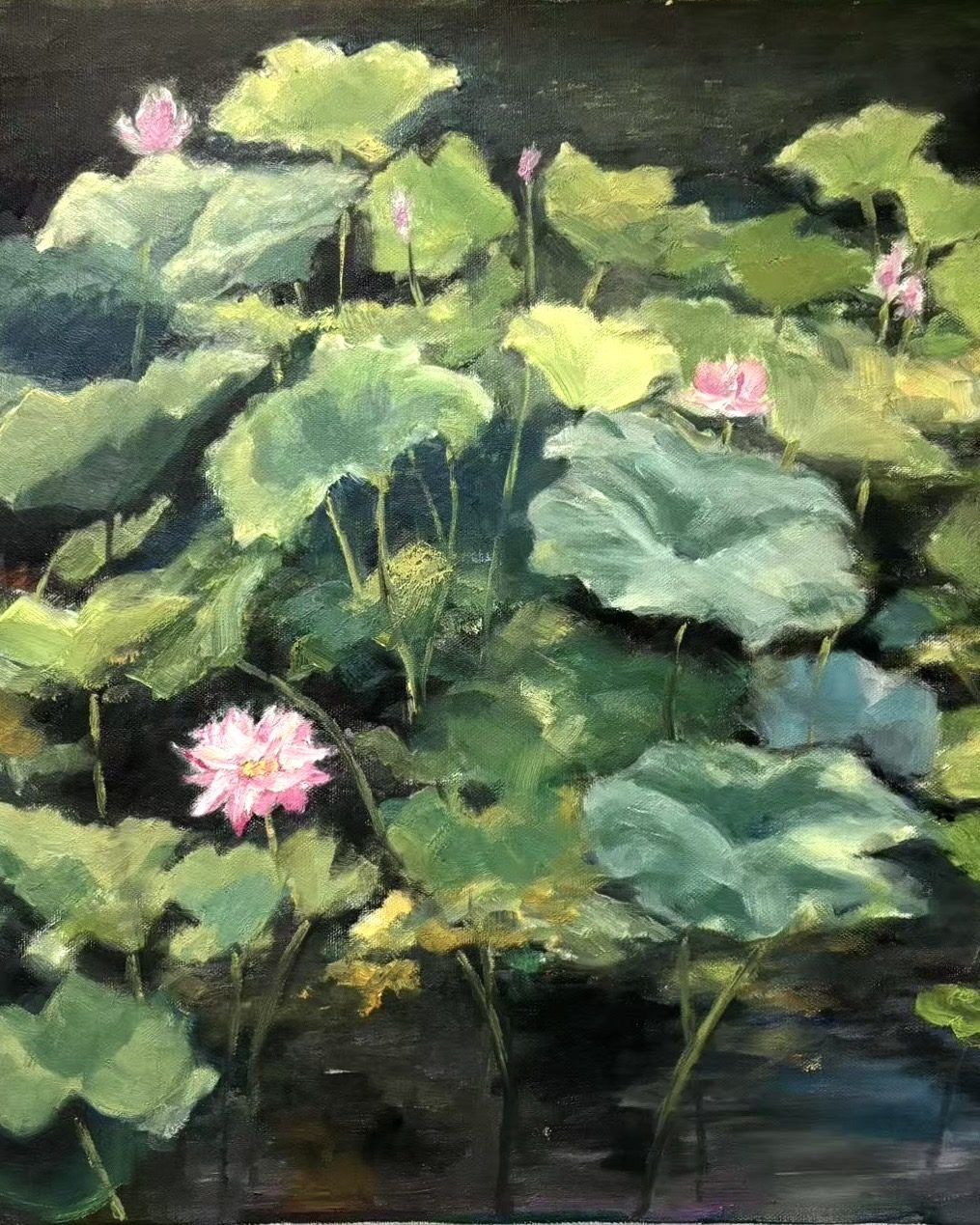 Lilys in the Water